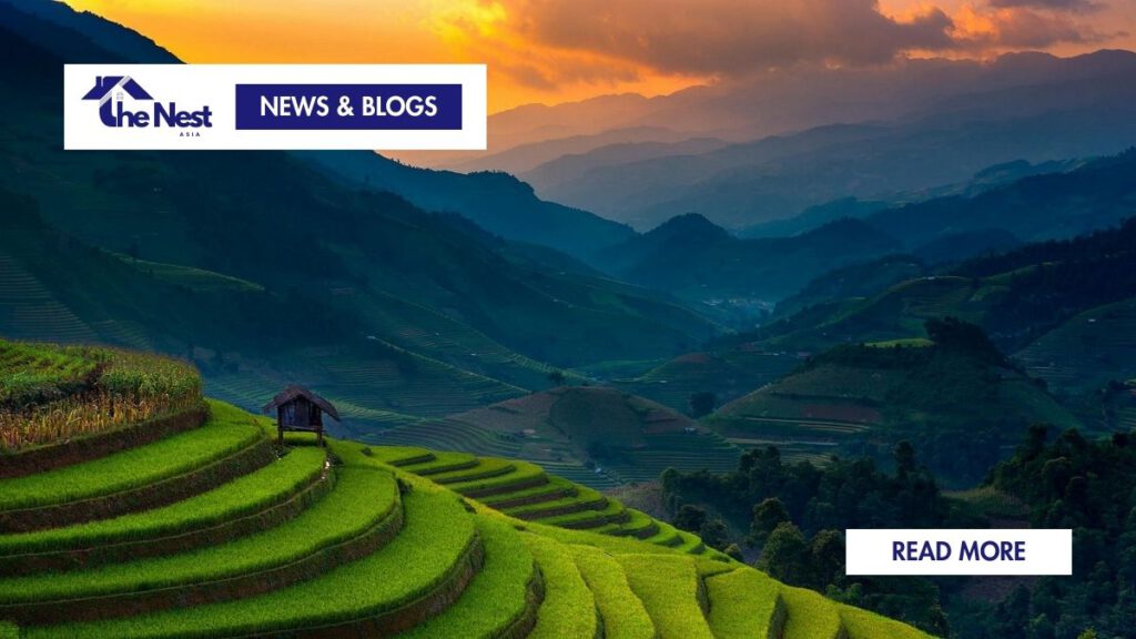 Living in Vietnam