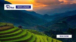 Living in Vietnam
