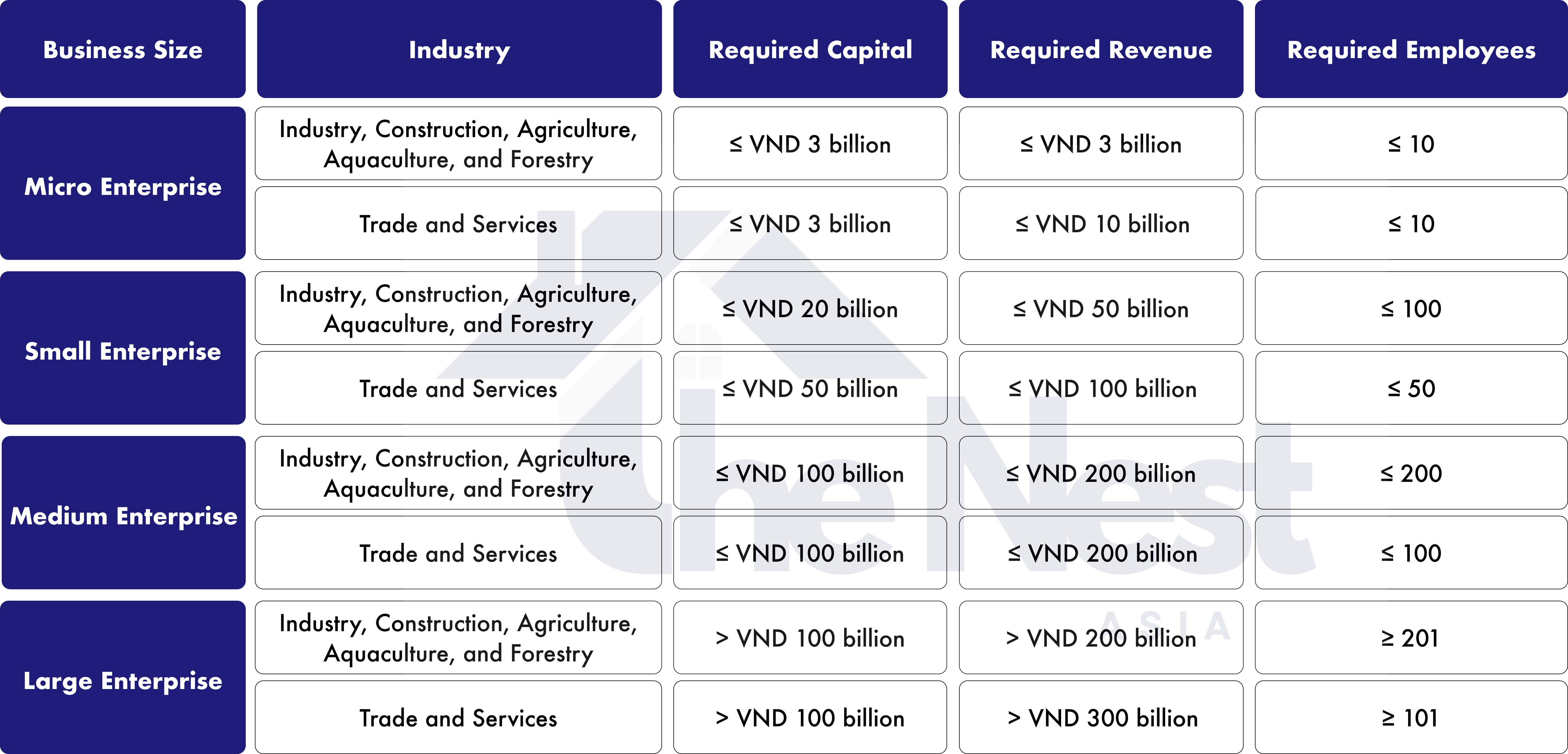 Setting Up a Company in Vietnam